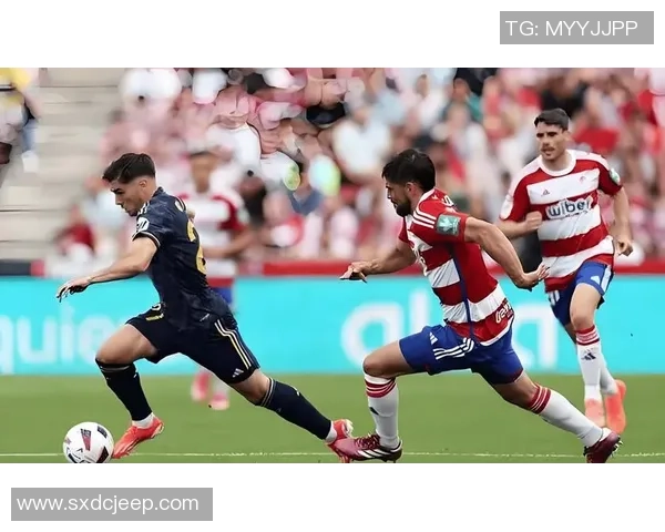 罗森博格与利勒斯特罗姆比赛结果分析及精彩瞬间回顾