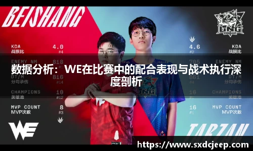 数据分析：WE在比赛中的配合表现与战术执行深度剖析